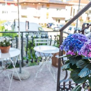 B&B Zenzero e Limone
